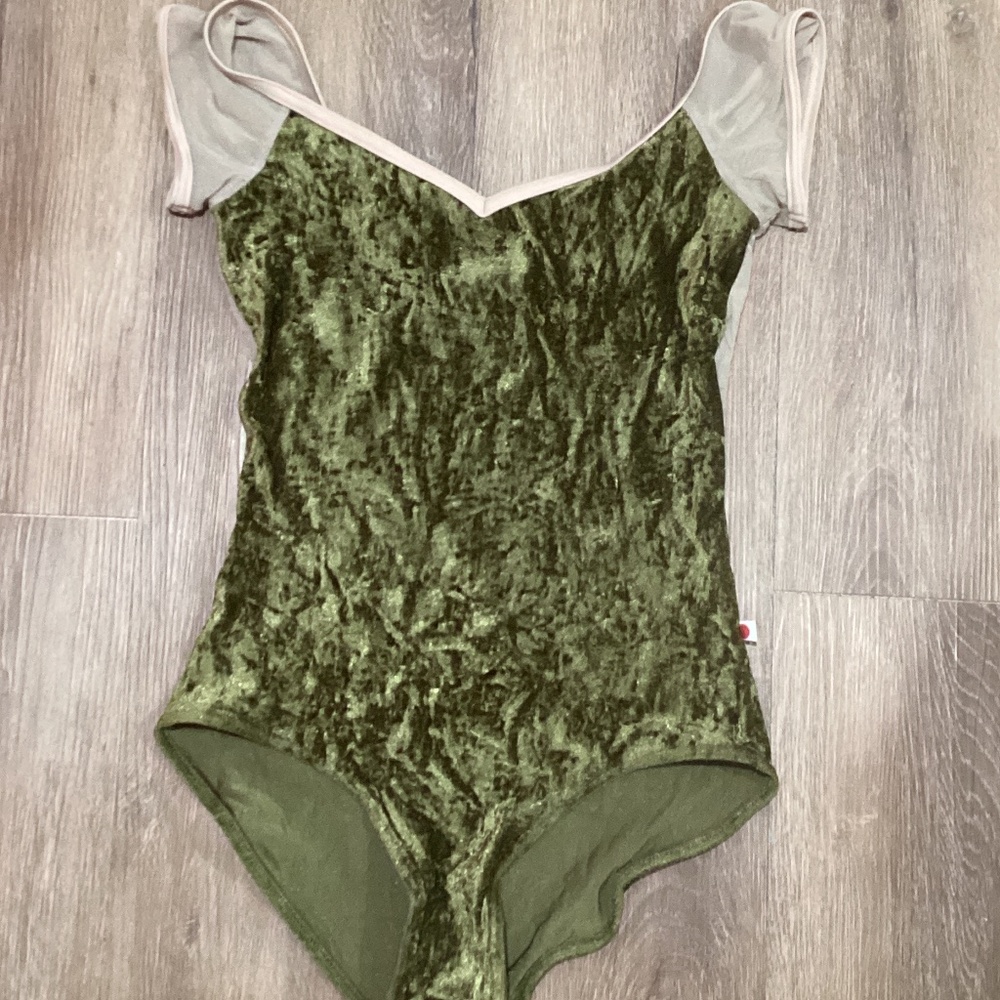 Nina mesh velvet leotard M